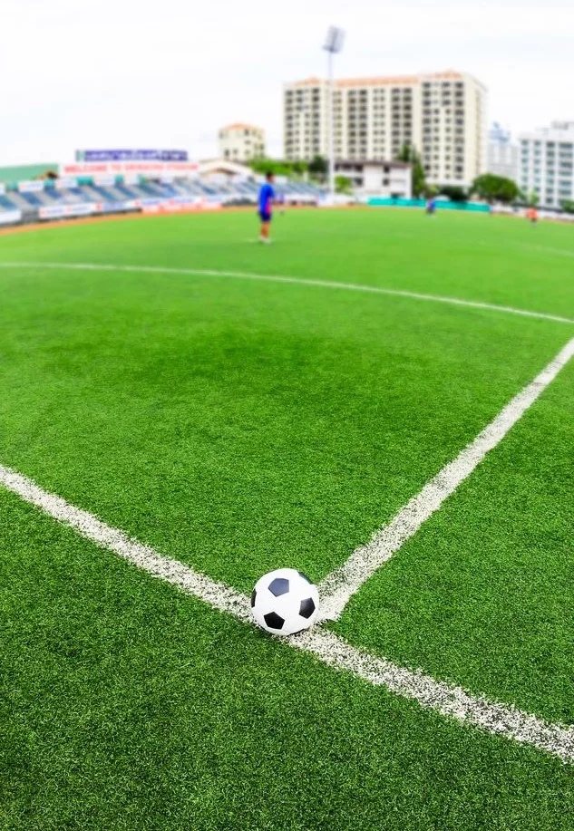 Futbol çimleri